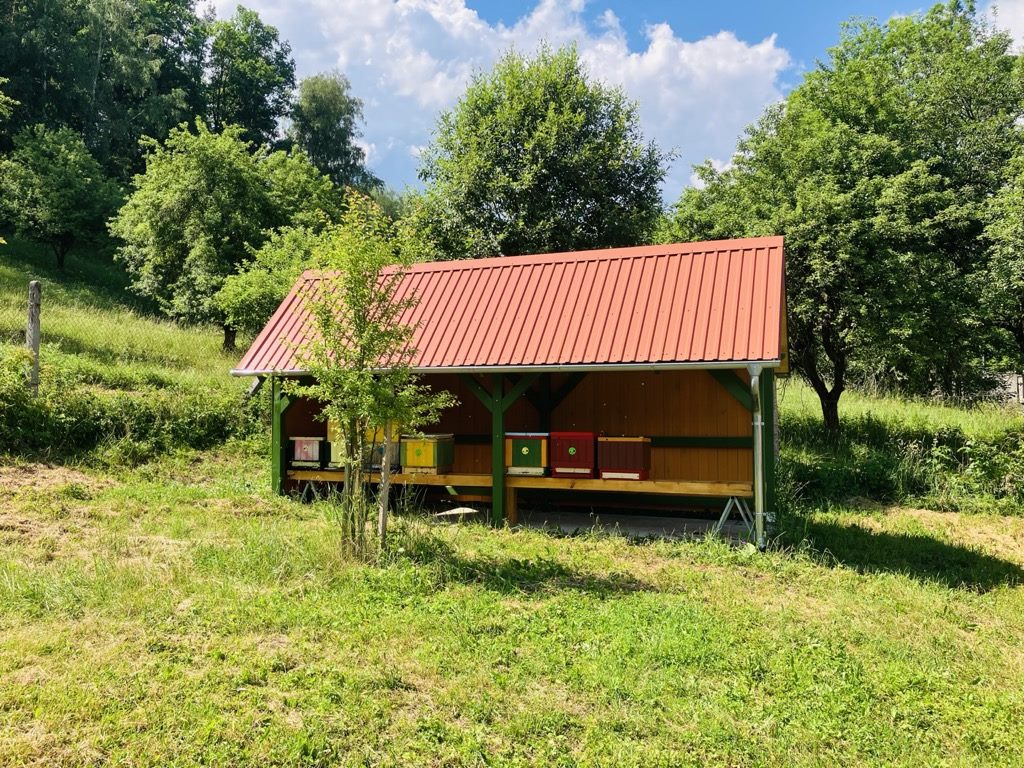 Včelařství v Údolí Bystřice
