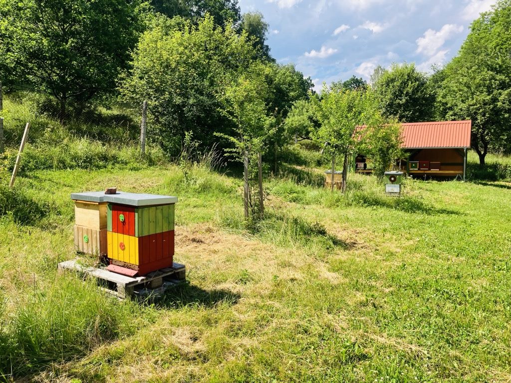 Včelařství v Údolí Bystřice