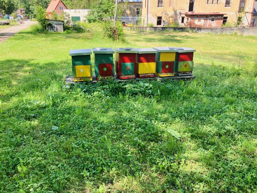Včelařství v Údolí Bystřice